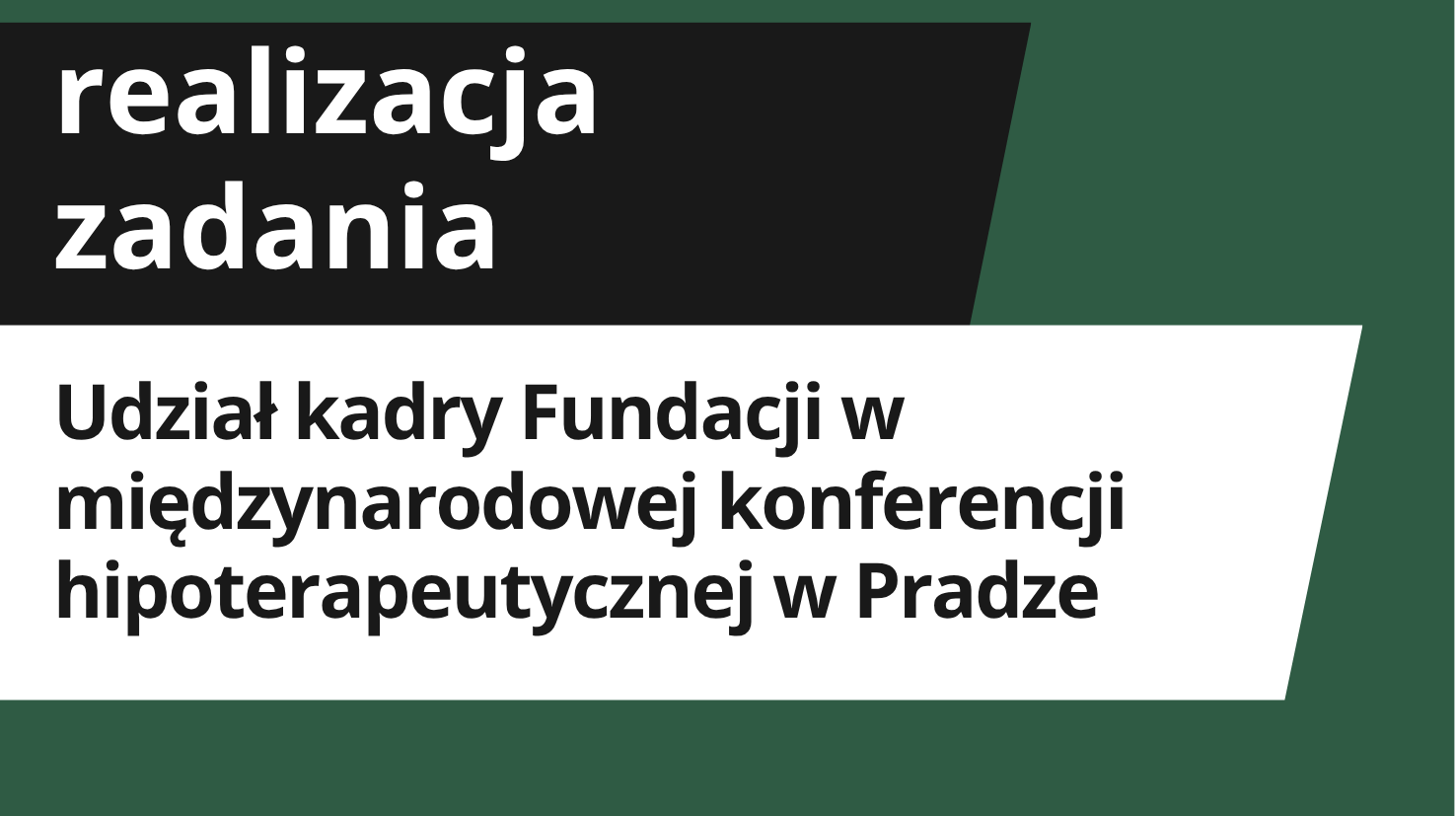 Udział w konferencji